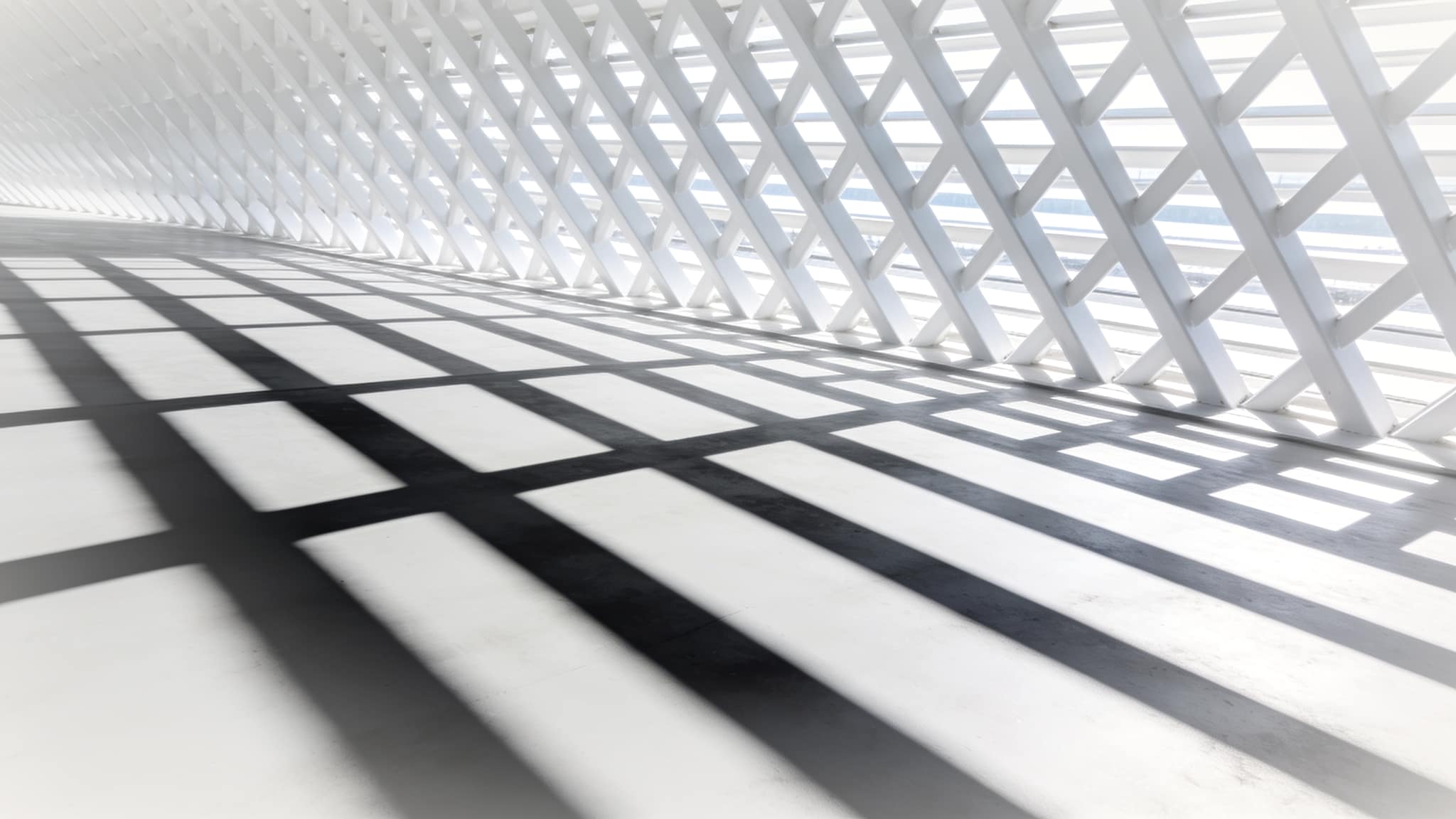 Cool morning light through a white lattice, long parallel shadows falling across a pale surface